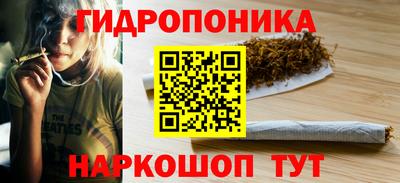 крисы Нягань